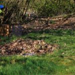 Déménagement : comment nettoyer votre nouveau jardin ?
