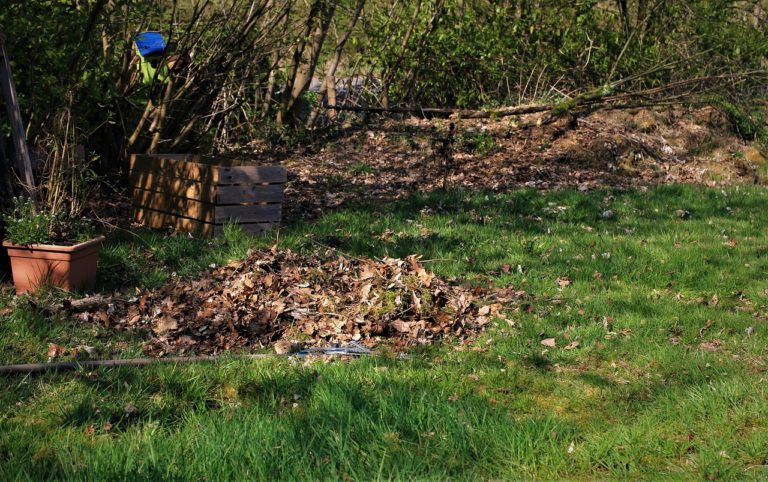 Déménagement : comment nettoyer votre nouveau jardin ?